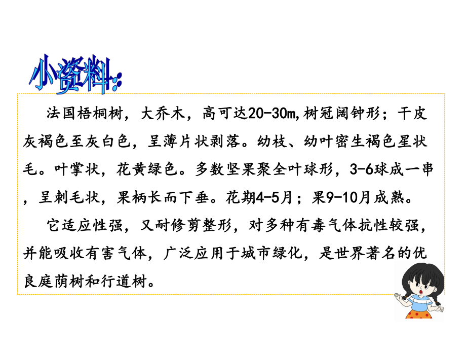 统编版人教版语文课件三年级上册5铺满金色巴掌的水泥道-课件-(共14张).ppt_第3页