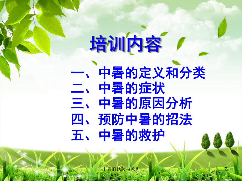 中暑的预防与救护培训课件.ppt_第2页