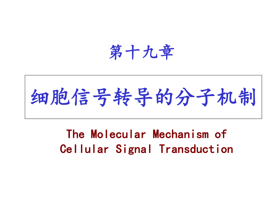 细胞信号转导的分子机制课件.ppt_第1页