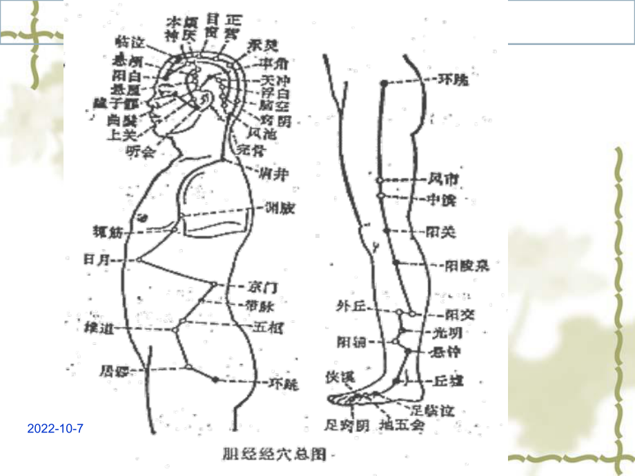 中医足少阳胆经培训课件.ppt_第3页