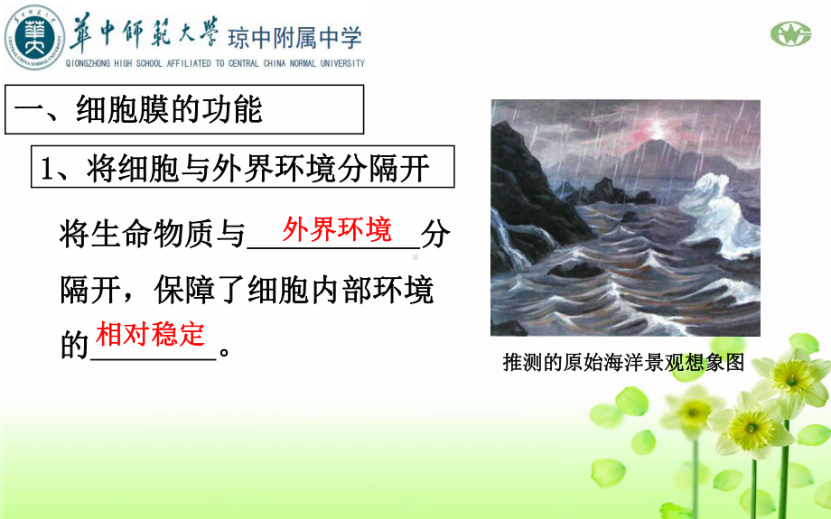 高中生物人教新课标版必修1第3章细胞的基本结构课件.ppt_第3页