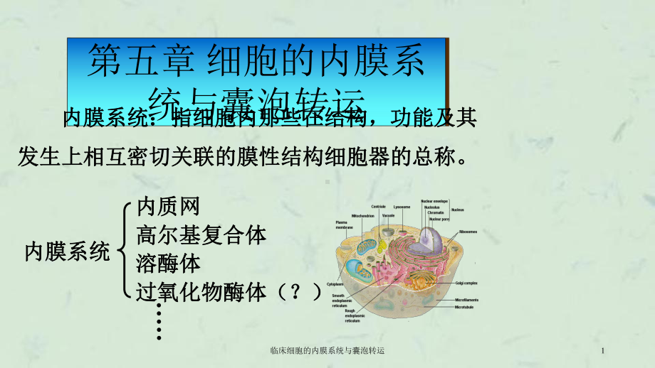 临床细胞的内膜系统与囊泡转运课件.ppt_第1页