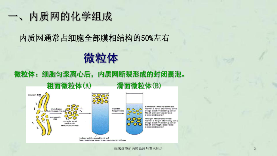 临床细胞的内膜系统与囊泡转运课件.ppt_第3页