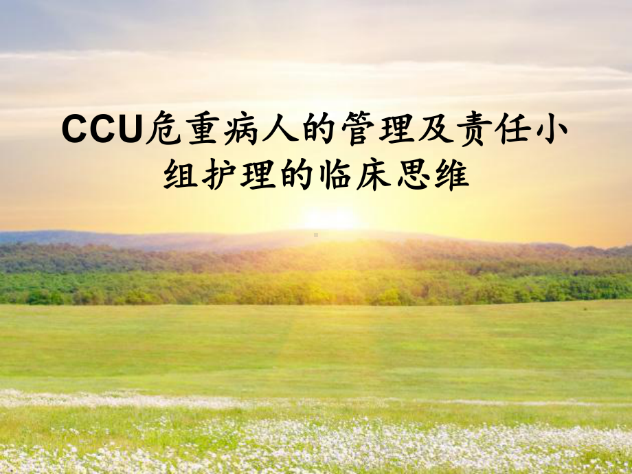 CCU危重病人管理与责任小组护理临床思维课件.ppt_第1页