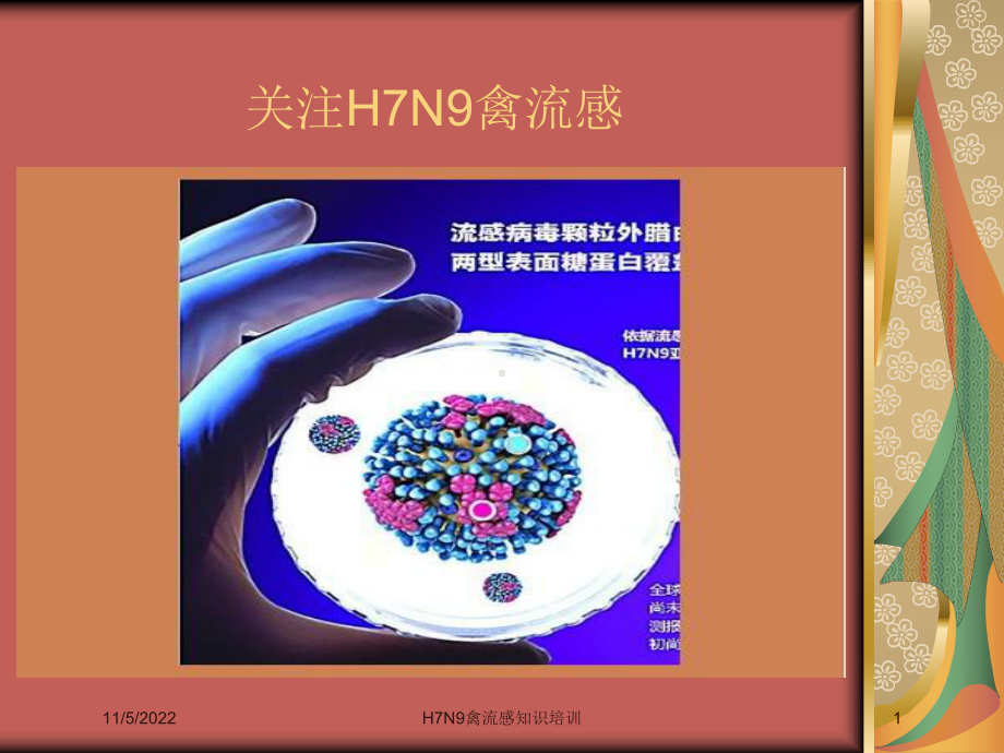 H7N9禽流感知识培训培训课件.ppt_第1页