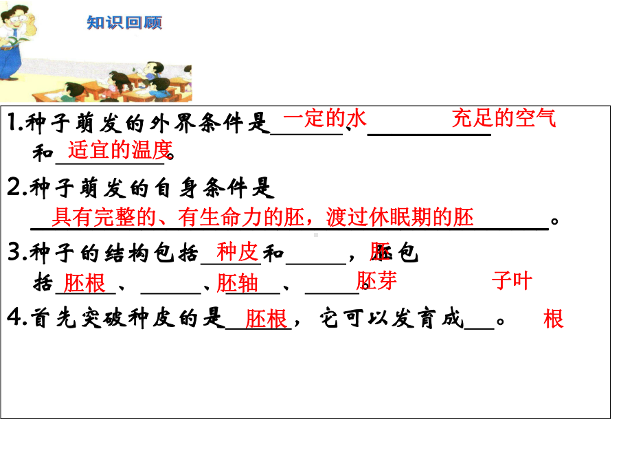 苏教版生物七年级上册52植物根的生长课件.ppt_第1页