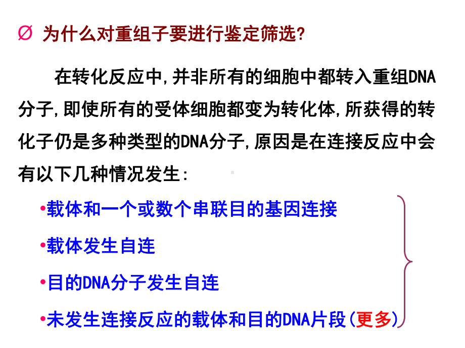 重组体的筛选与鉴定课件.ppt_第2页