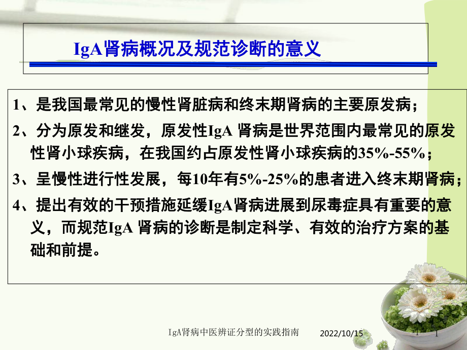 IgA肾病中医辨证分型的实践指南培训课件.ppt_第1页