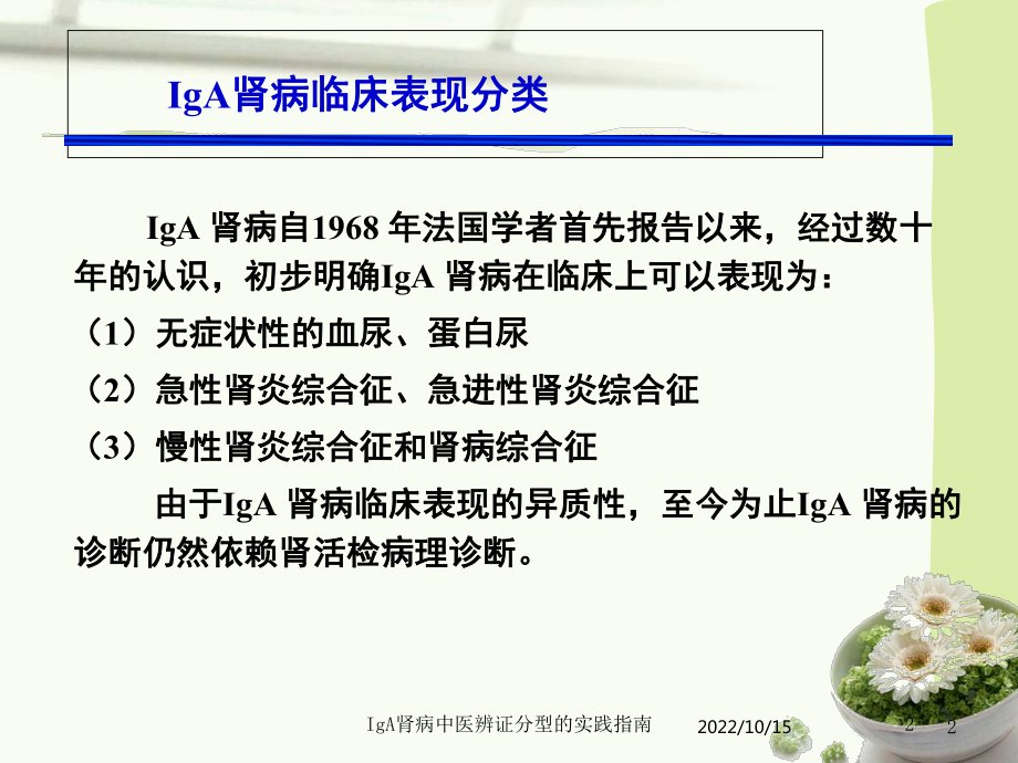 IgA肾病中医辨证分型的实践指南培训课件.ppt_第2页