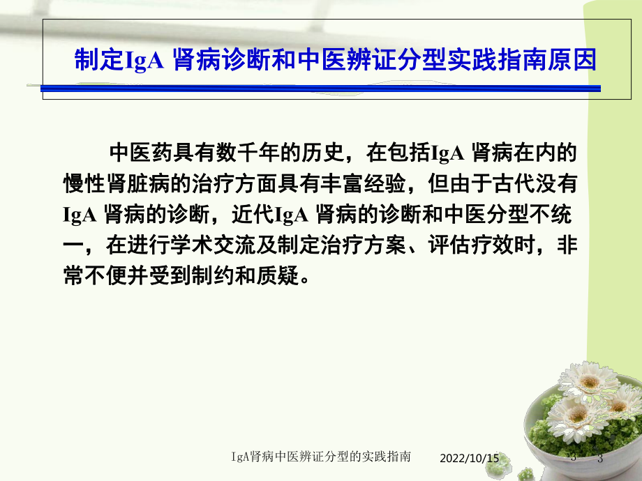 IgA肾病中医辨证分型的实践指南培训课件.ppt_第3页