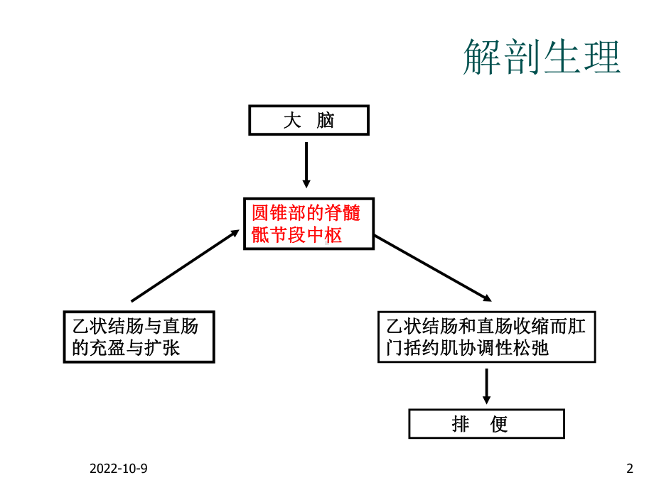 神经源性直肠功能障碍-课件.ppt_第2页