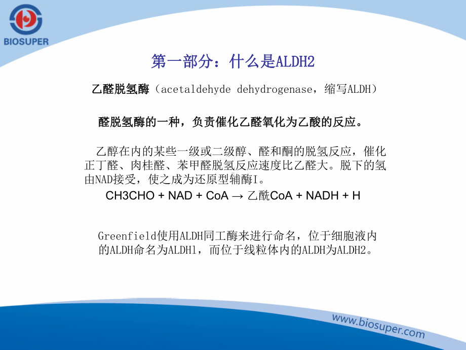 ALDH基因分型和临床应用培训课件.ppt_第2页