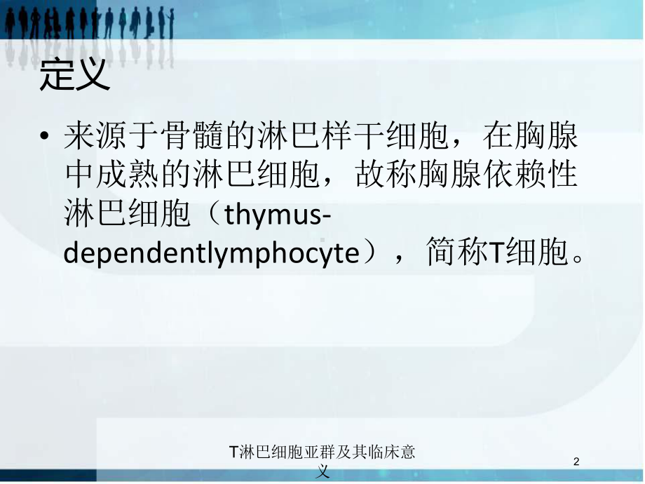 T淋巴细胞亚群及其临床意义培训课件.ppt_第2页