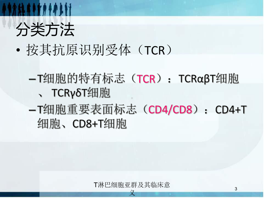 T淋巴细胞亚群及其临床意义培训课件.ppt_第3页