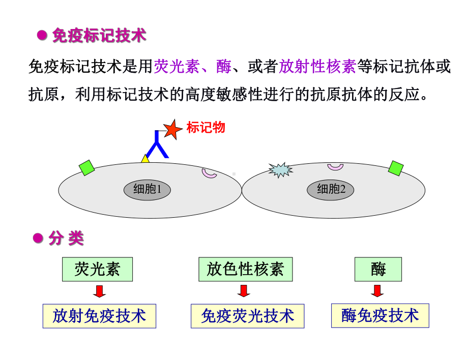 ELISA检测乙肝抗体HBsAb课件.ppt_第3页