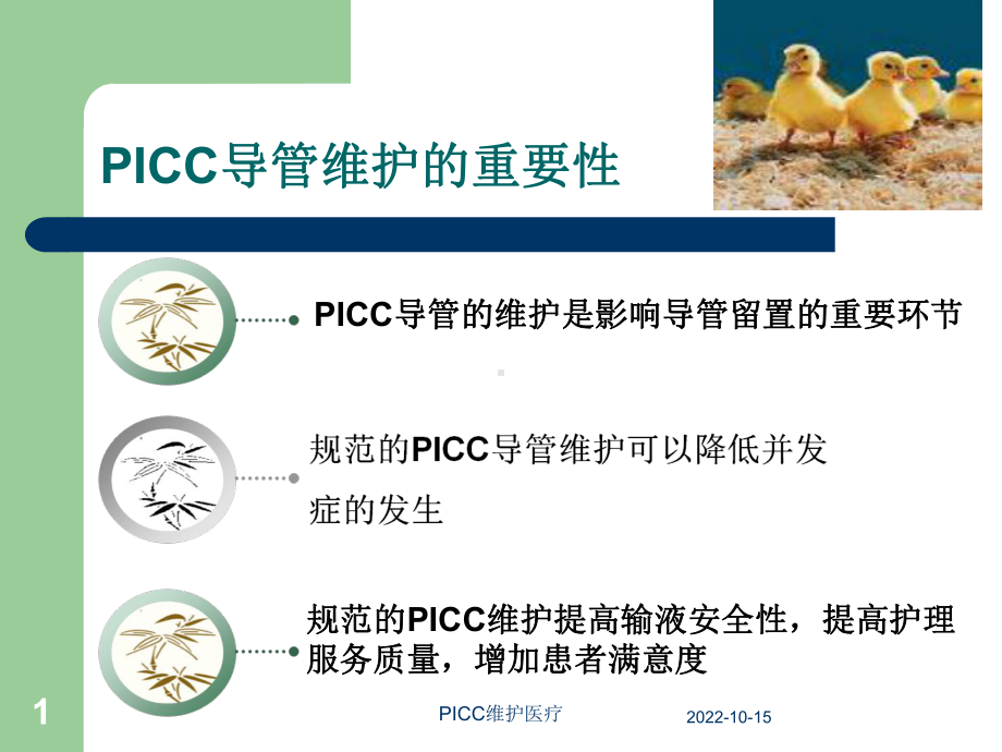 PICC维护医疗培训课件.ppt_第1页