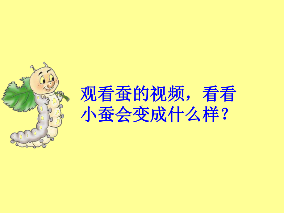 蚕的生长变化课件.ppt_第2页