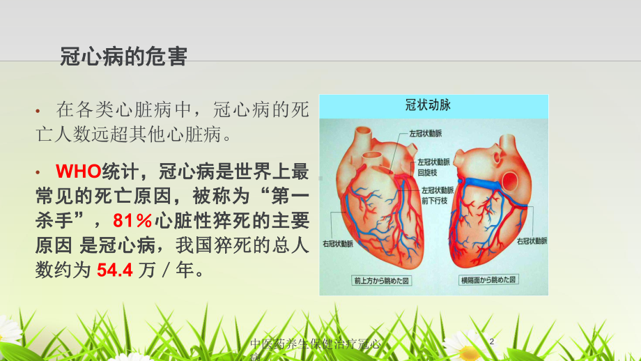 中医药养生保健治疗冠心病培训课件.ppt_第2页