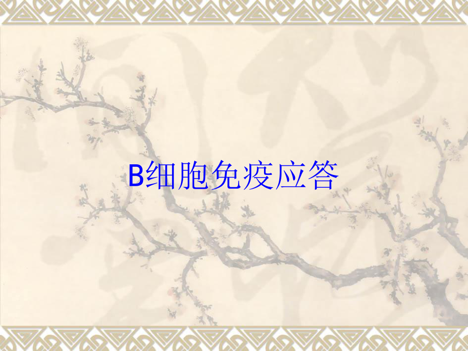 B细胞免疫应答培训课件.ppt_第1页