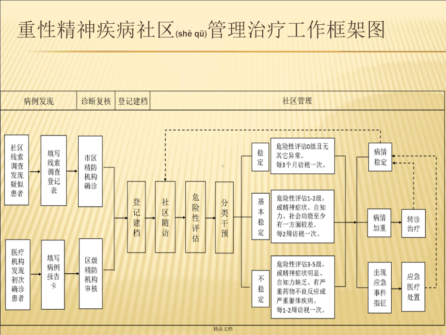 （课件）重性精神疾病社区管理治疗.pptx_第3页