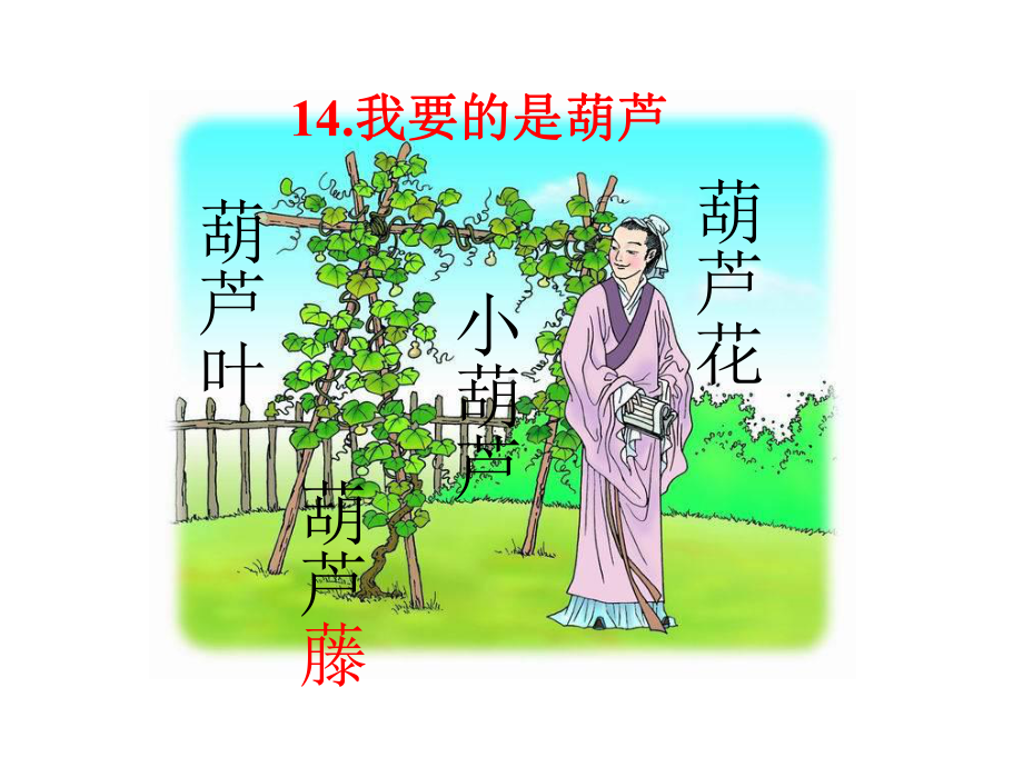 统编版二年级上册语文课件-我要的是葫芦-人教-部编版-(共46张).pptx_第1页