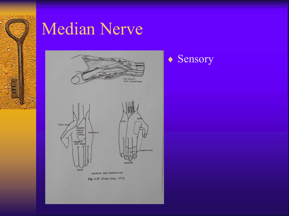 Review--Plastic-Surgery：回顾整形手术课件.ppt_第3页