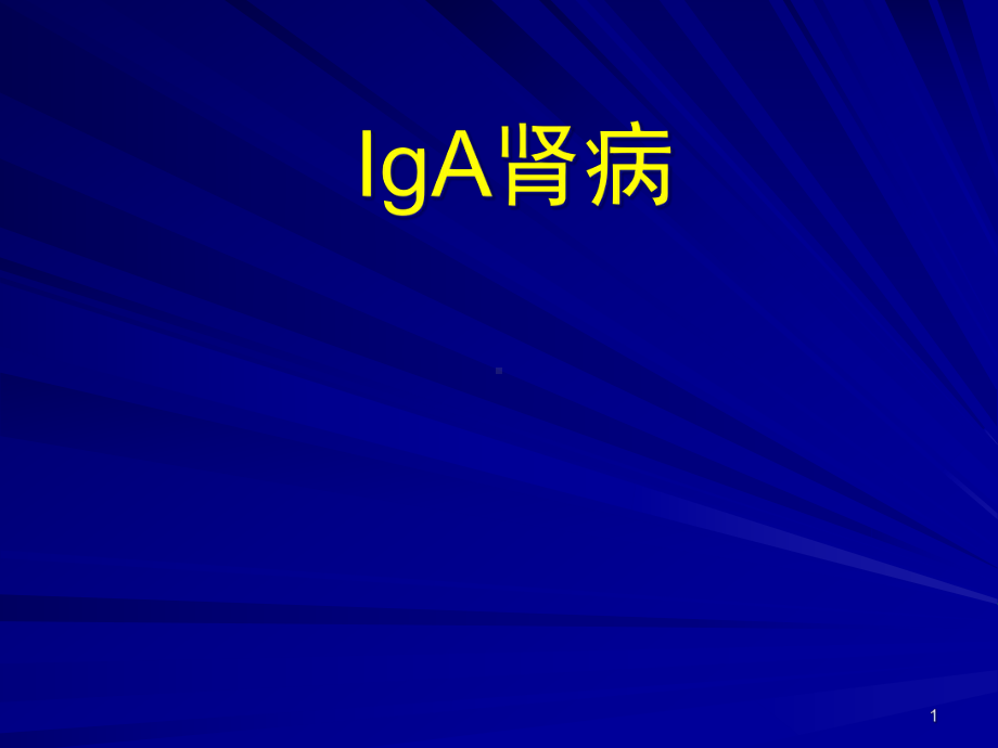 IgA肾病概念课件.ppt_第1页