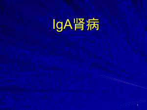 IgA肾病概念课件.ppt