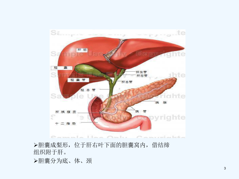 LC手术的配合课件.ppt_第3页