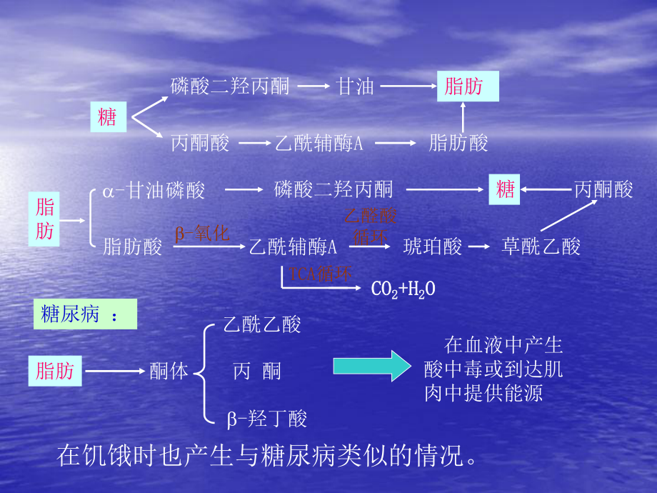 《生物化学》课件-物质代谢的调节.ppt_第3页