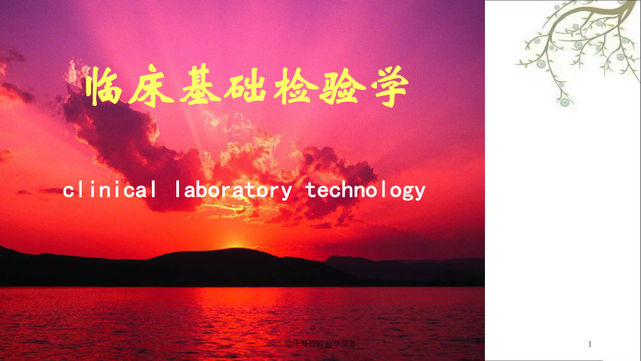 临床基础检验学课件.ppt_第1页