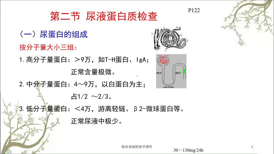 临床基础检验学课件.ppt_第2页