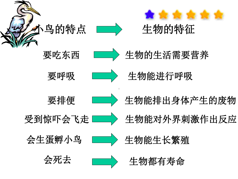 调查周围环境中的生物(张)课件.ppt_第2页