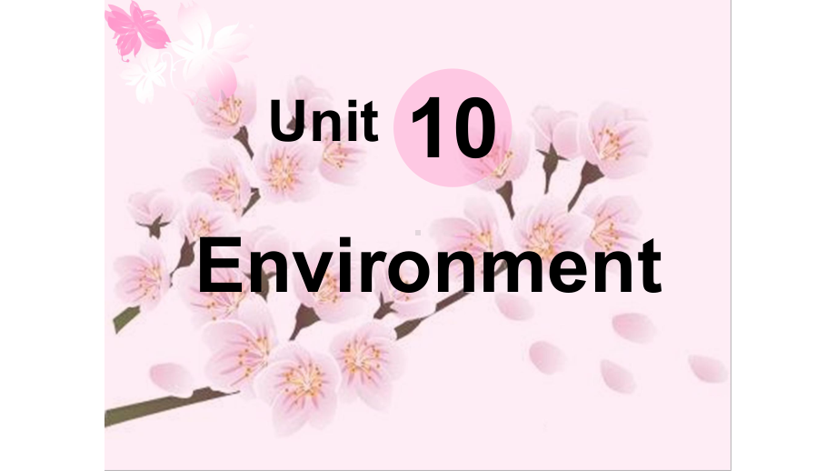 语文版中职英语(基础模块-下册)Unit-10《Environment》课件4.ppt（无音视频素材）_第2页