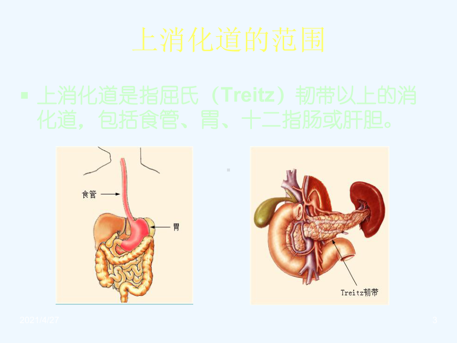 上消化道出血的诊断及外科处理课件.ppt_第3页