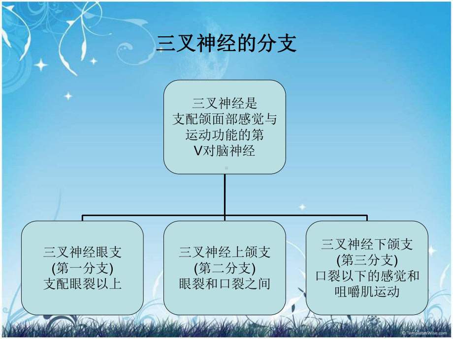 三叉神经痛患者护理查房课件.ppt_第3页