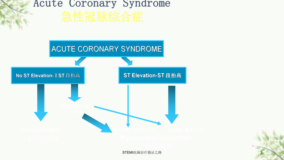 STEMI抗凝治疗循证之路课件.ppt_第3页