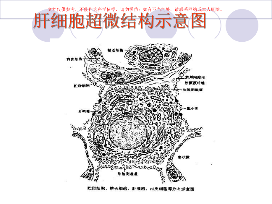 IHC的发生机制和治疗药物的选择培训课件.ppt_第2页