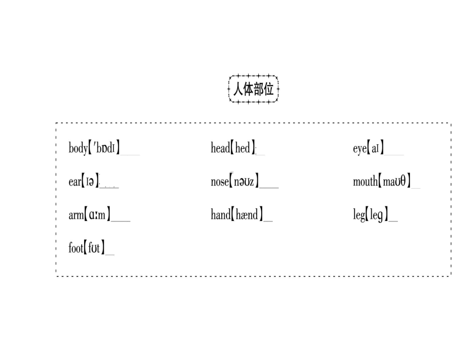 科普版小学英语三年级上册三年级上知识点梳理期末复习课件.pptx_第3页