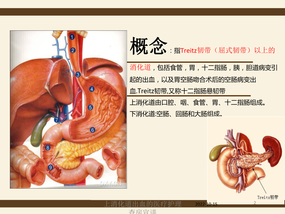 上消化道出血的医疗护理查房宣讲培训课件.ppt_第2页