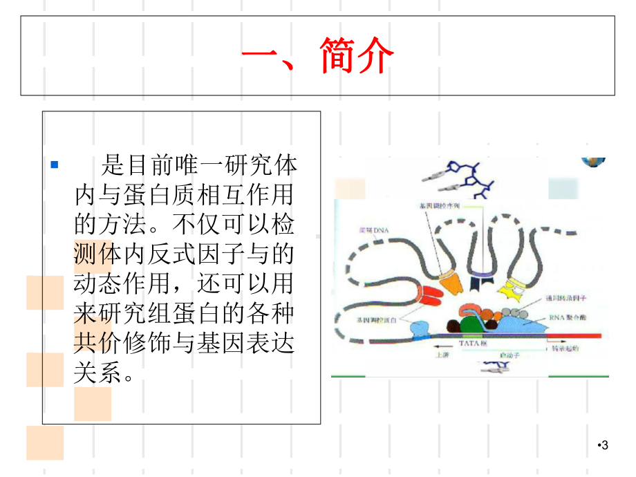 CHIP染色质免疫沉淀及其测序学习课件.ppt_第3页