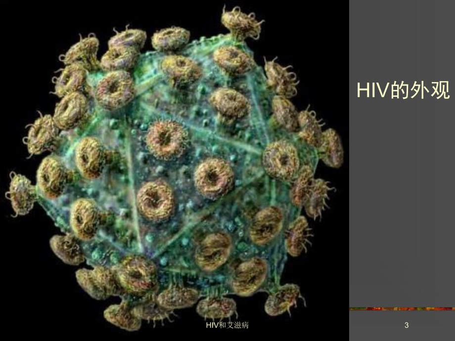 HIV和艾滋病培训课件.ppt_第3页