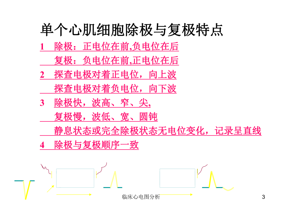 临床心电图分析课件.ppt_第3页