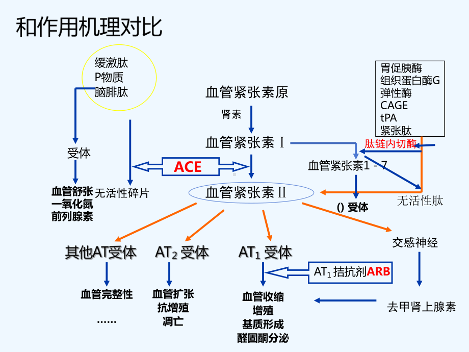 ACEI和ARB药物临床应用课件.pptx_第2页