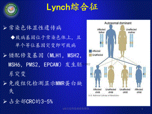 L综合征的免疫组化筛查培训课件.ppt