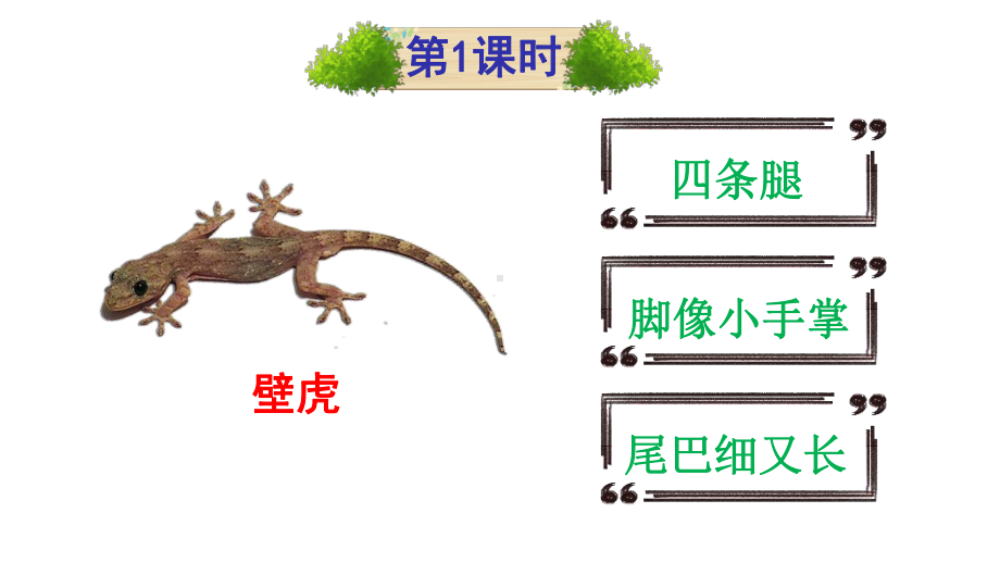 部编版一年级语文下册21-小壁虎借尾巴(课件).ppt_第1页