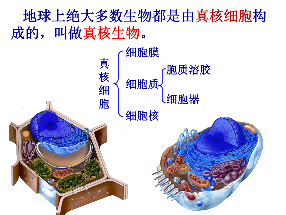 高中生物第8章原核细胞与非细胞生物体-教学课件.ppt_第3页