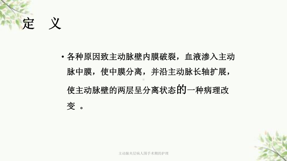 主动脉夹层病人围手术期的护理课件.ppt_第2页