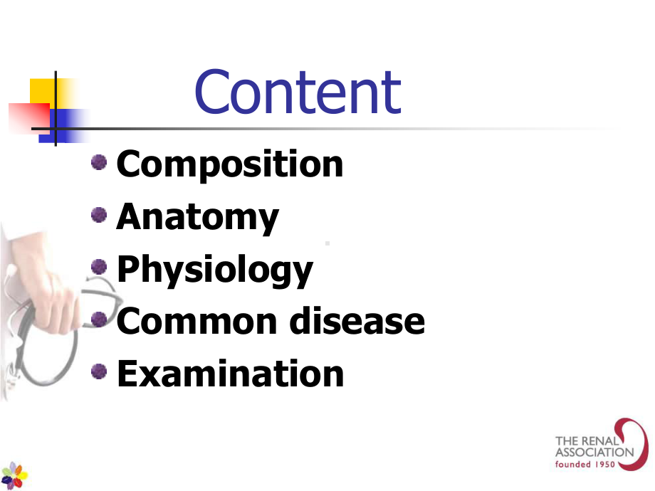 Urinary-System泌尿系统全英文课件.ppt_第2页