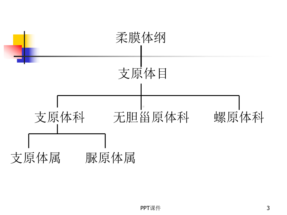 《医学微生物学》支原体-立克次体-课件.ppt_第3页